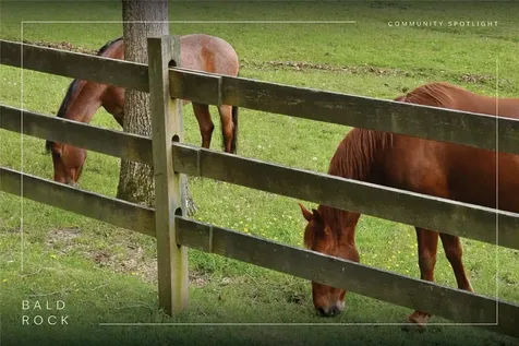 420 Feldspar Lane Sapphire NC 28774