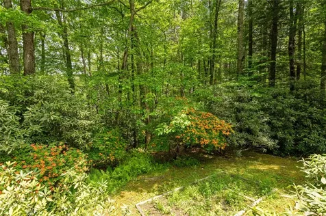 776 Stillmont Circle Cashiers NC 28717