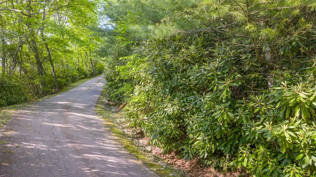 Lt Forest Ridge Cashiers NC 28717