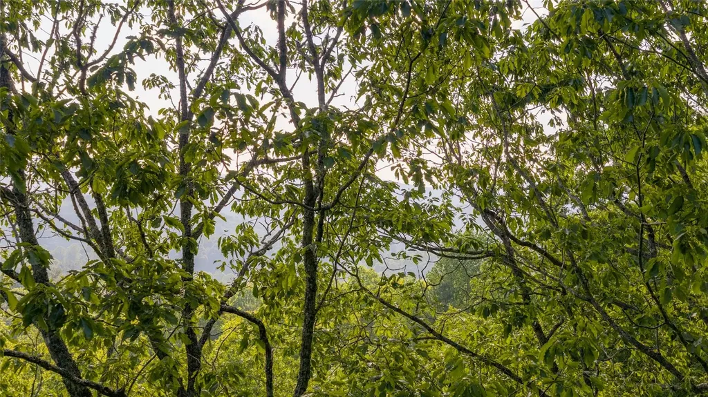 Lt Forest Ridge Cashiers NC 28717