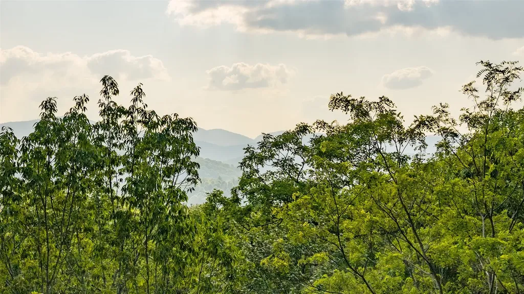 Lt Forest Ridge Cashiers NC 28717