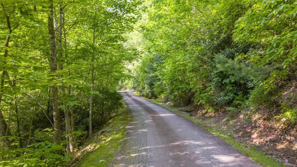 Lt Forest Ridge Cashiers NC 28717