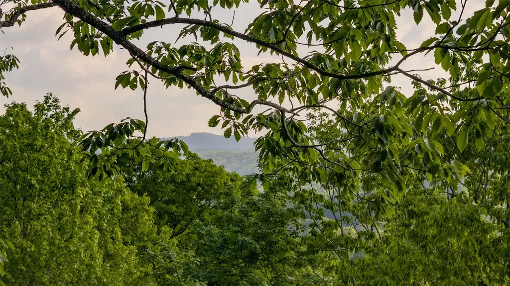 Lt Forest Ridge Cashiers NC 28717