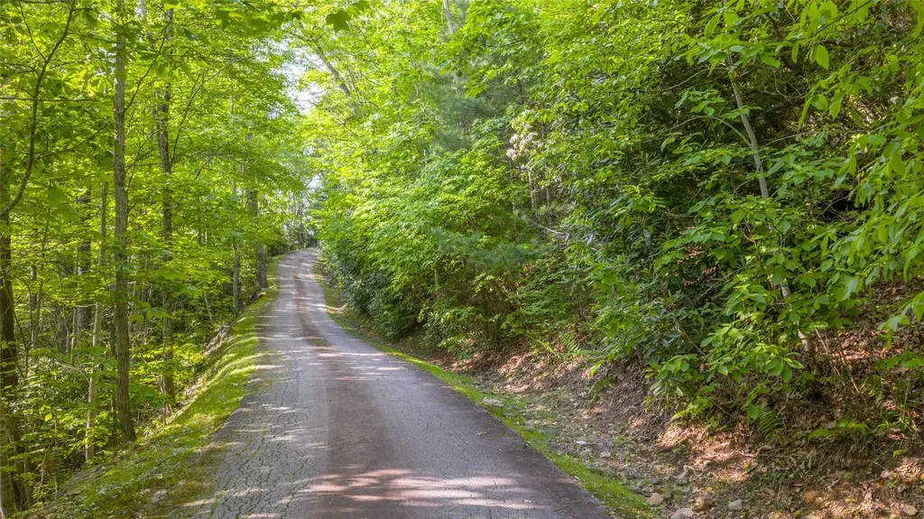 Lt Forest Ridge Cashiers NC 28717