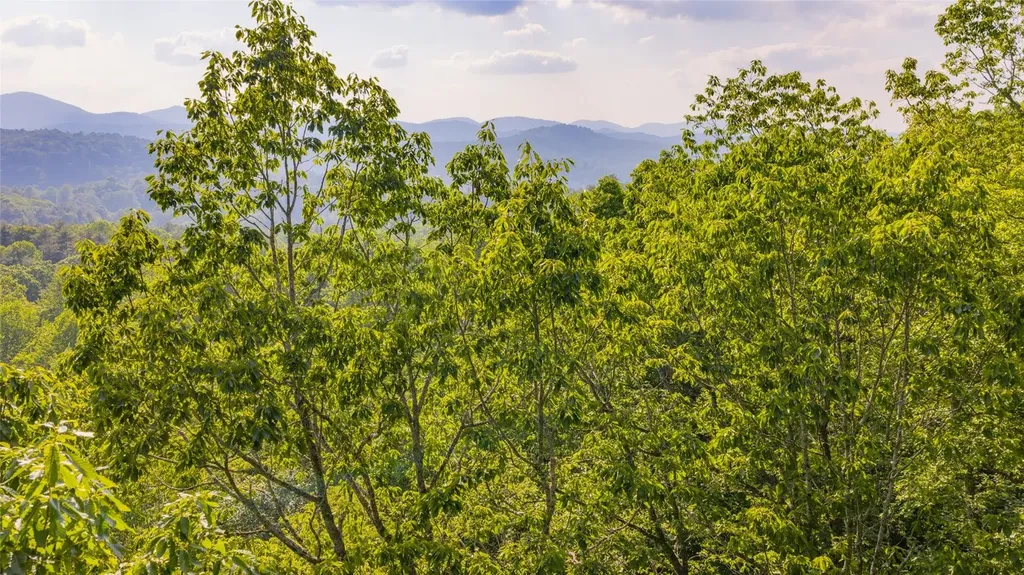 Lt Forest Ridge Cashiers NC 28717