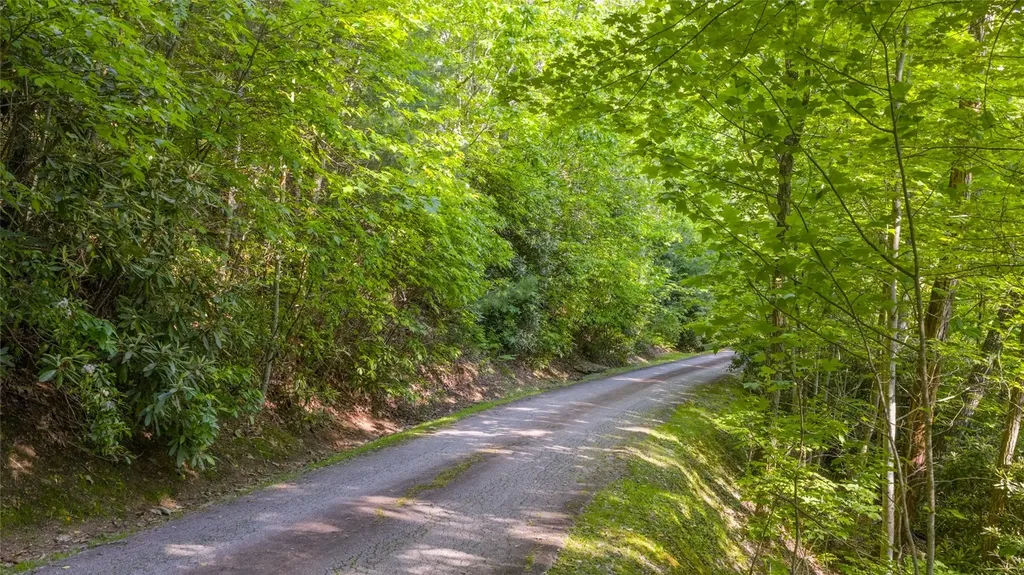 Lt Forest Ridge Cashiers NC 28717