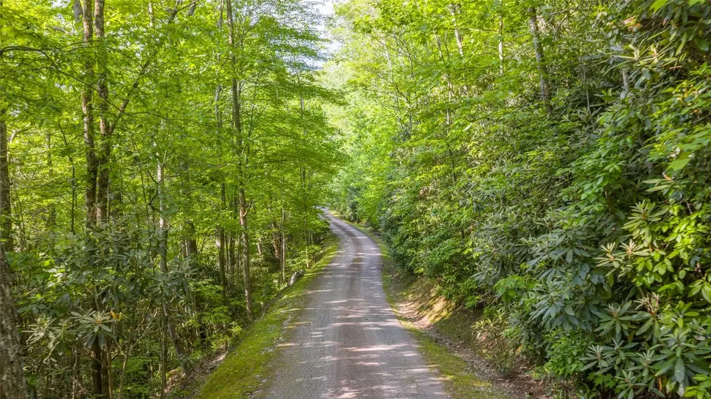 Lt Forest Ridge Cashiers NC 28717