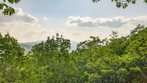 Lt Forest Ridge Cashiers NC 28717