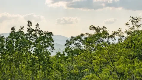 Lt Forest Ridge Cashiers NC 28717