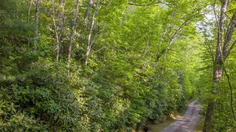 Lt Forest Ridge Cashiers NC 28717