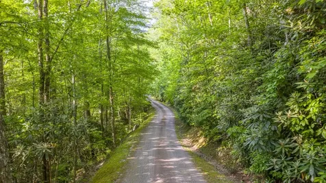 Lt Forest Ridge Cashiers NC 28717