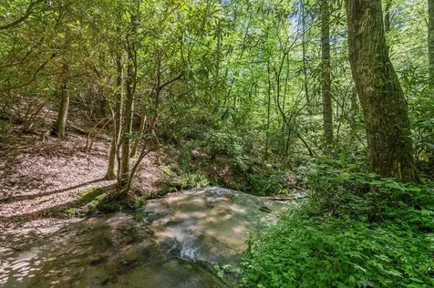 8378 Dillard Road Scaly Mountain NC 28775