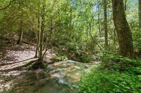 8378 Dillard Road Scaly Mountain NC 28775