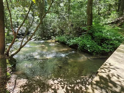 8378 Dillard Road Scaly Mountain NC 28775