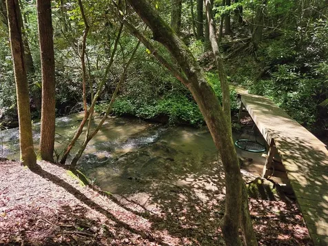 8378 Dillard Road Scaly Mountain NC 28775