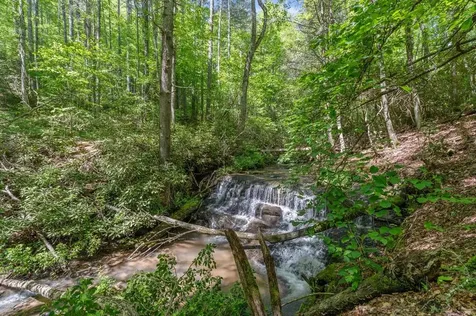 8378 Dillard Road Scaly Mountain NC 28775