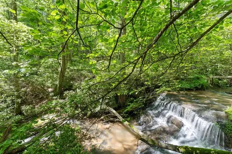 8378 Dillard Road Scaly Mountain NC 28775