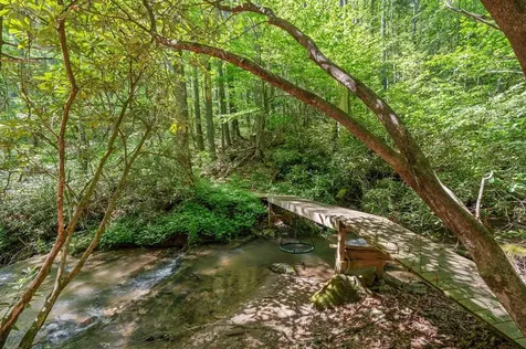 8378 Dillard Road Scaly Mountain NC 28775