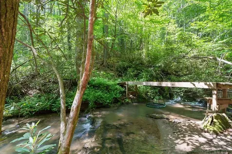 8378 Dillard Road Scaly Mountain NC 28775