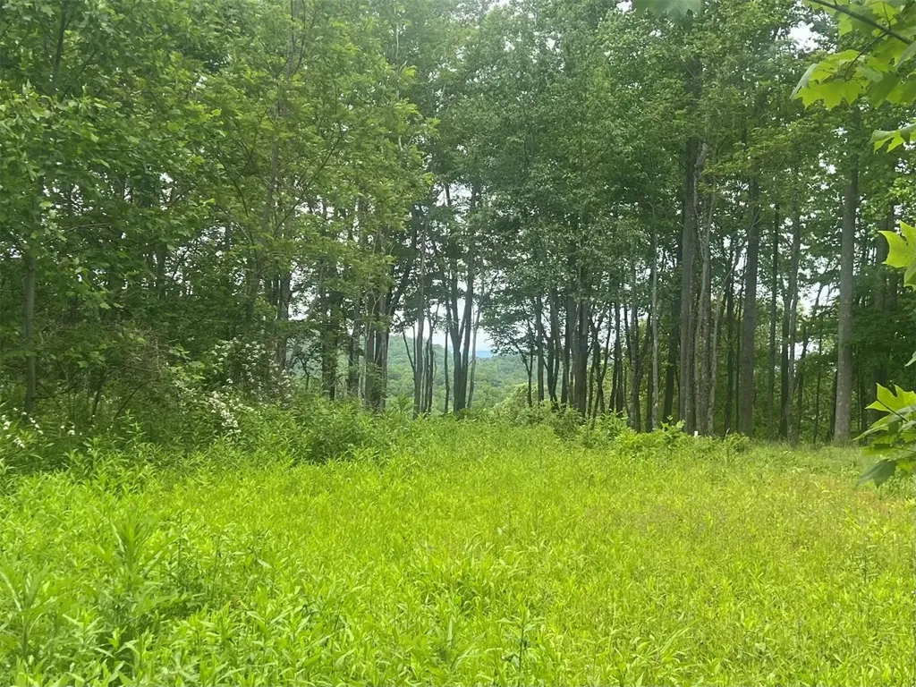 3 Nips Way Cullowhee NC 28723