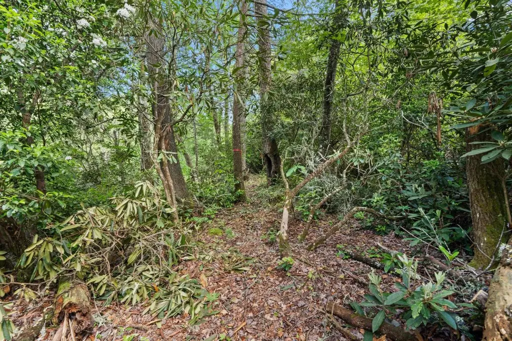 Lt 29/36 Long Bridge N Cullowhee NC 28717