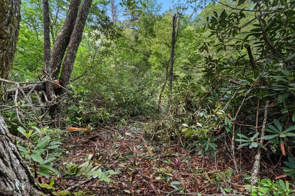 Lt 29/36 Long Bridge N Cullowhee NC 28717