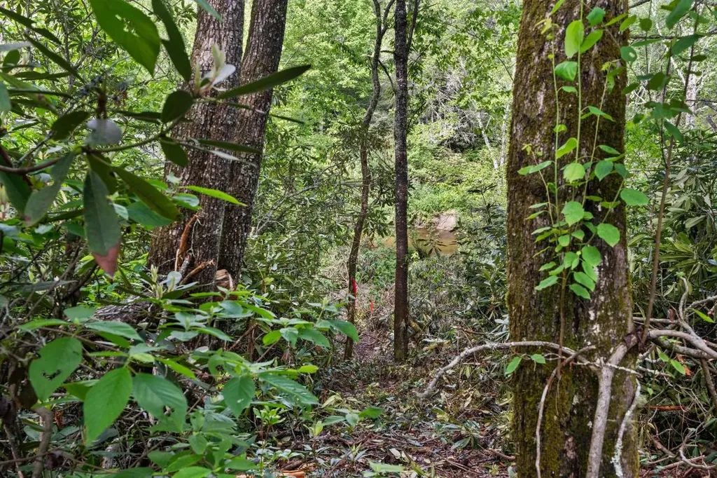 Lt 29/36 Long Bridge N Cullowhee NC 28717