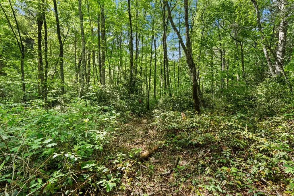 Lt 29/36 Long Bridge N Cullowhee NC 28717