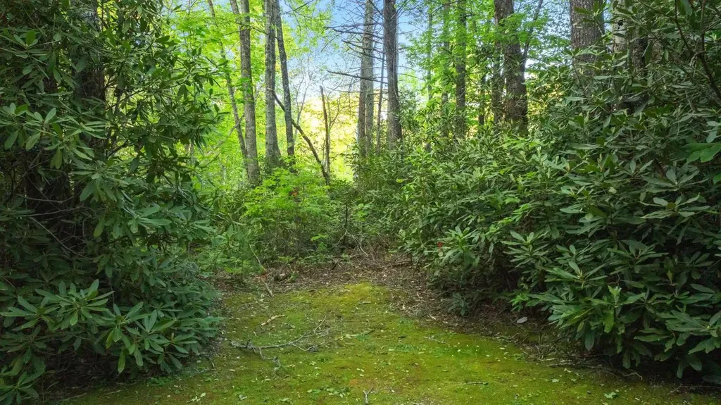 Lt 29/36 Long Bridge N Cullowhee NC 28717