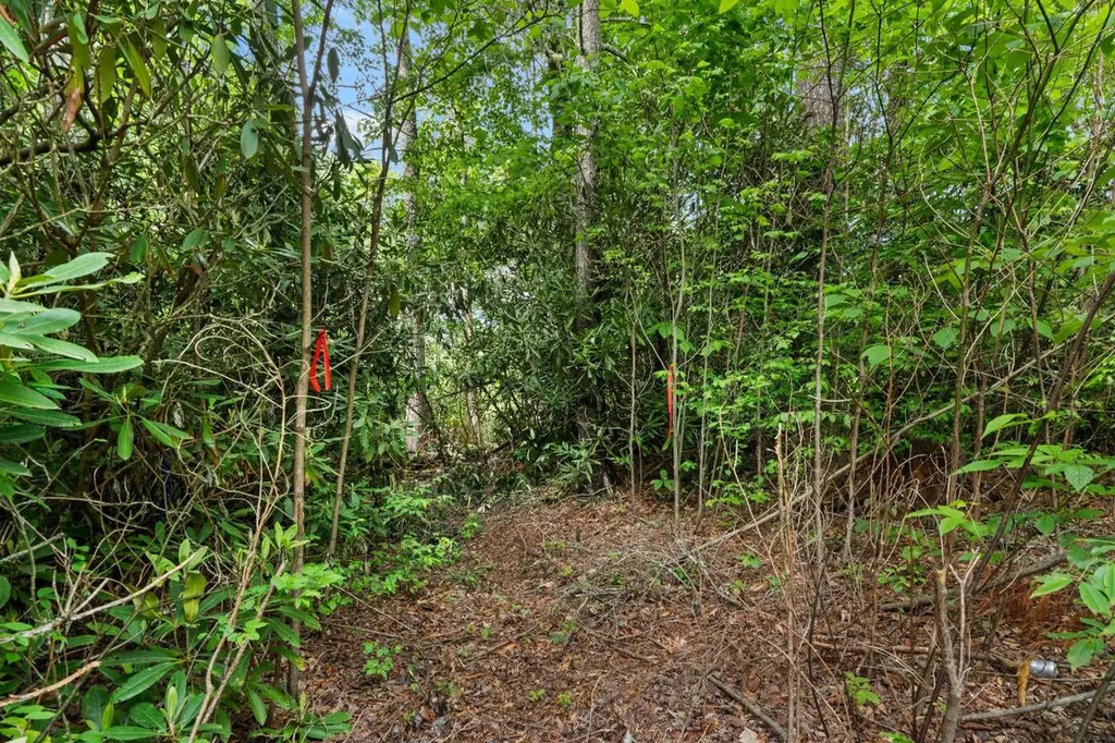 Lt 29/36 Long Bridge N Cullowhee NC 28717