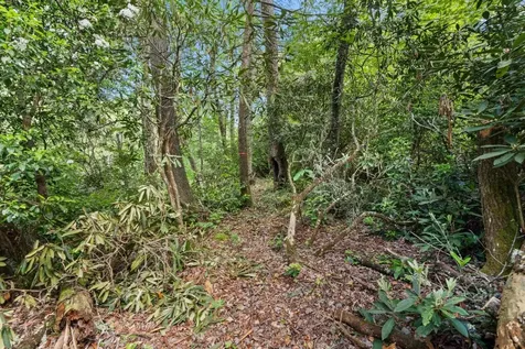 Lt 29/36 Long Bridge N Cullowhee NC 28717