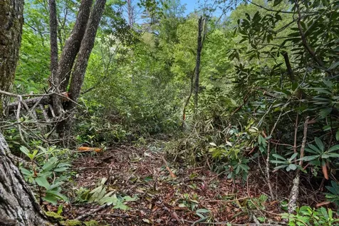 Lt 29/36 Long Bridge N Cullowhee NC 28717