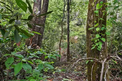 Lt 29/36 Long Bridge N Cullowhee NC 28717