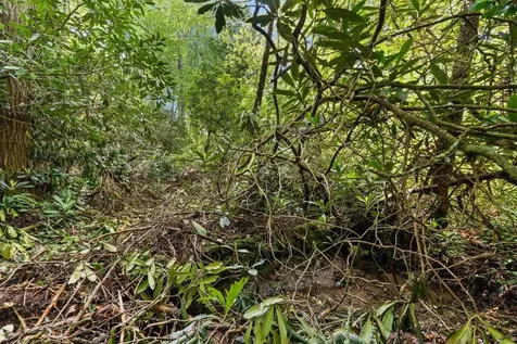 Lt 29/36 Long Bridge N Cullowhee NC 28717