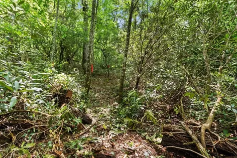 Lt 29/36 Long Bridge N Cullowhee NC 28717