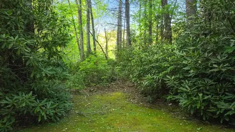 Lt 29/36 Long Bridge N Cullowhee NC 28717