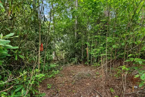 Lt 29/36 Long Bridge N Cullowhee NC 28717