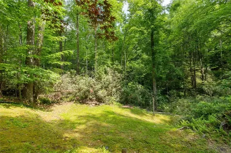 47 Red Bud Court Sapphire NC 28774