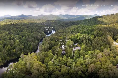 47 Red Bud Court Sapphire NC 28774