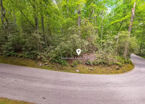 Lot 1 Mountain Laurel Drive Highlands NC 28741