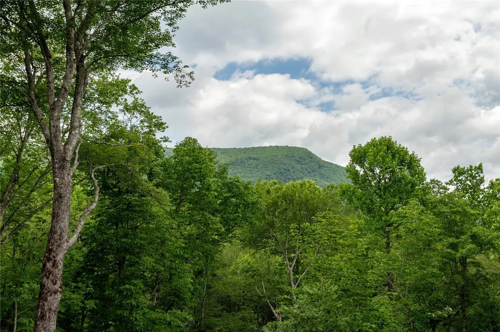 510 Boiling Springs Road Sapphire NC 28774