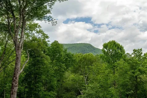 510 Boiling Springs Road Sapphire NC 28774