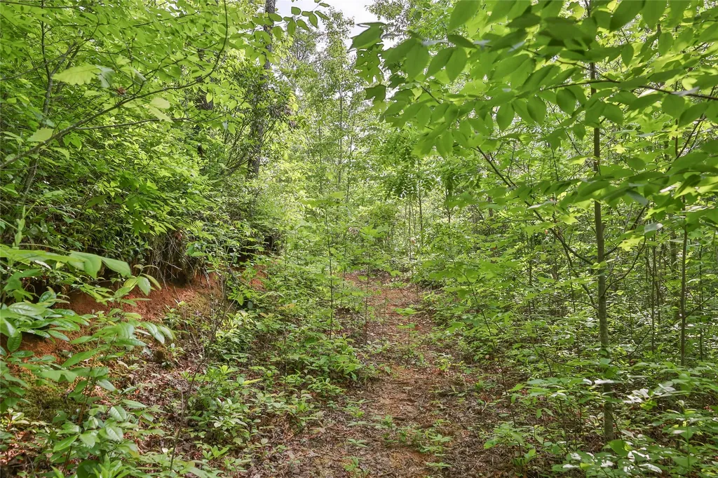 0 White Rock Road Cullowhee NC 28723