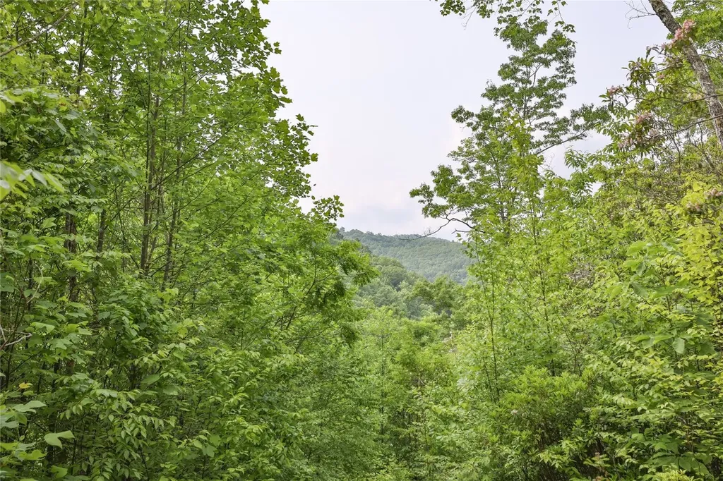 524 White Rock Road Cullowhee NC 28723