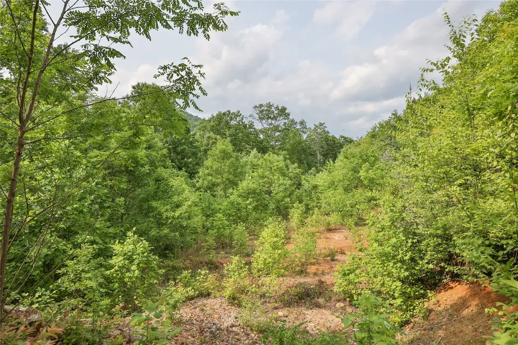 0 White Rock Road Cullowhee NC 28723