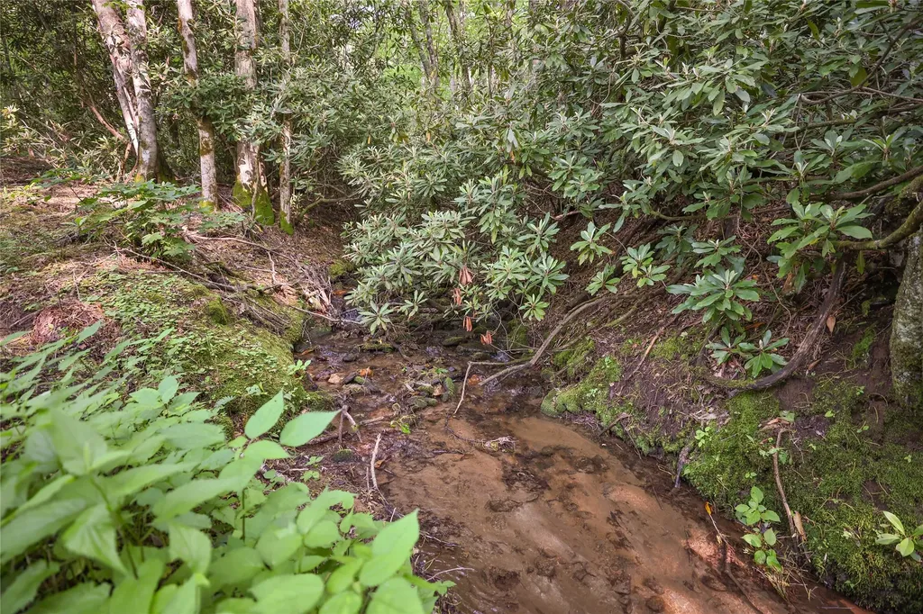 0 White Rock Road Cullowhee NC 28723