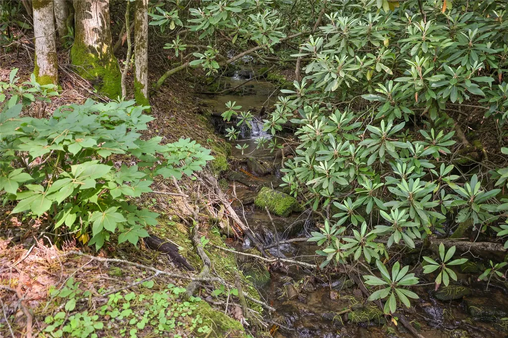 0 White Rock Road Cullowhee NC 28723