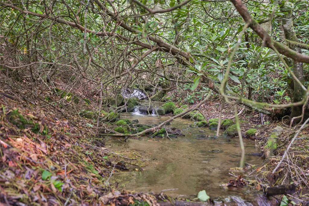 0 White Rock Road Cullowhee NC 28723