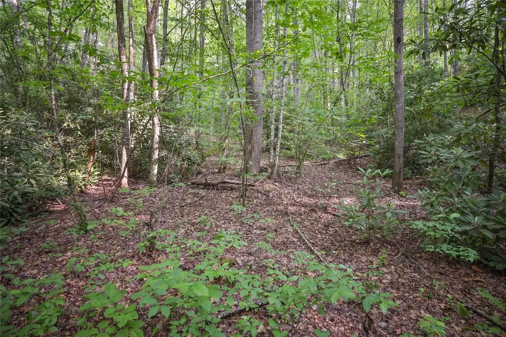 524 White Rock Road Cullowhee NC 28723