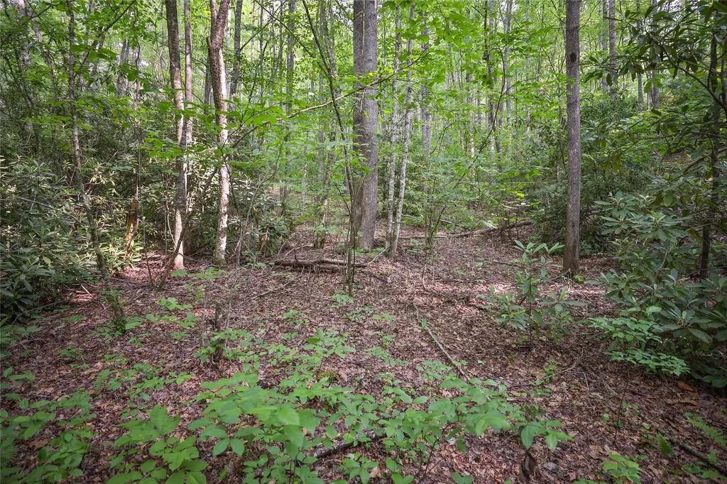 0 White Rock Road Cullowhee NC 28723